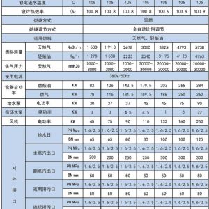 SZS系列全自動(dòng)燃?xì)庹羝仩t